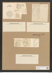 Campylodiscus biangulatus Grev. (de-Toni-Nr.: Genus 57, Species 2438) Zeichnungen Sammlung Grunow Nr. 4906 (NHMW-BOT-W0373107)